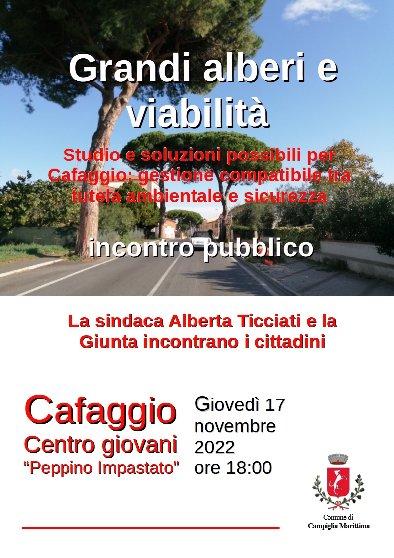 Locandina incontro del 17 novembre a Cafaggio con foto dei pini