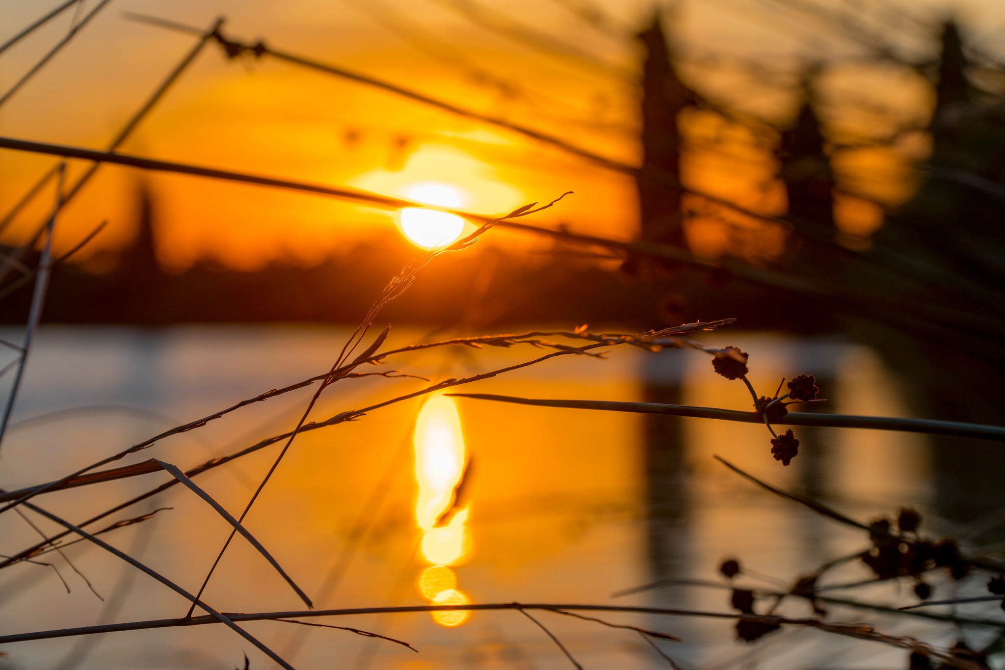 Riflessi dorati sul lago silenzioso