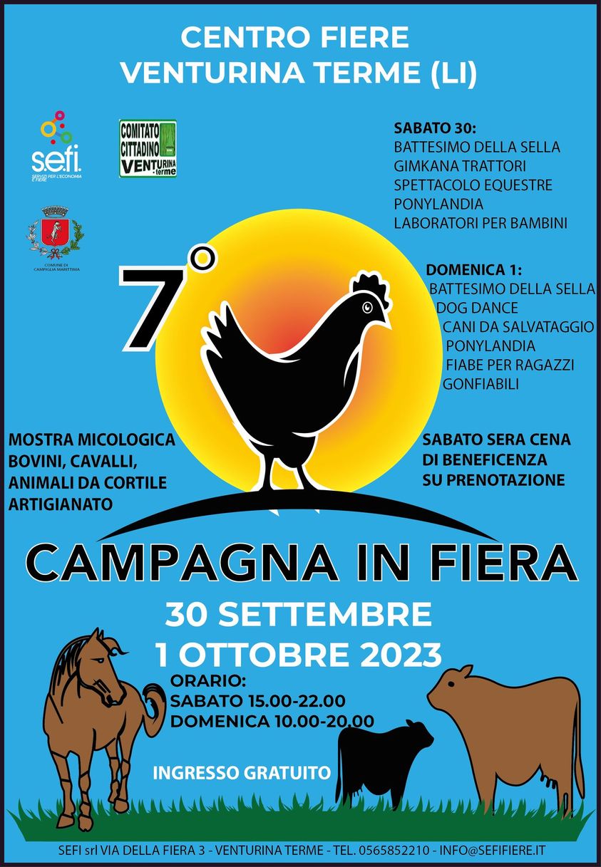 Il man ifesto della mostra