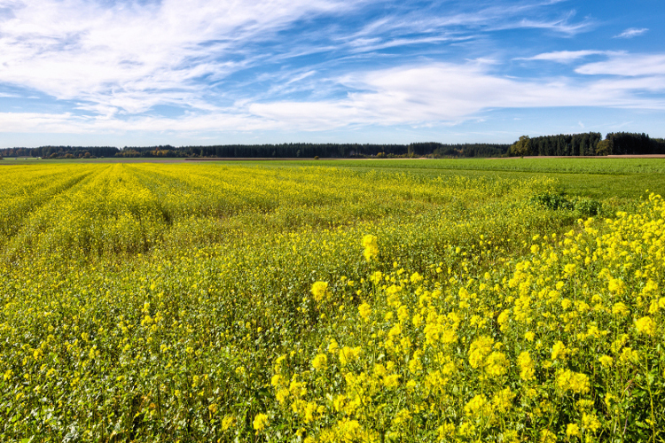 Agricoltura, dal 2024 verso il futuro, una giornata di studio proposta da Unilibera