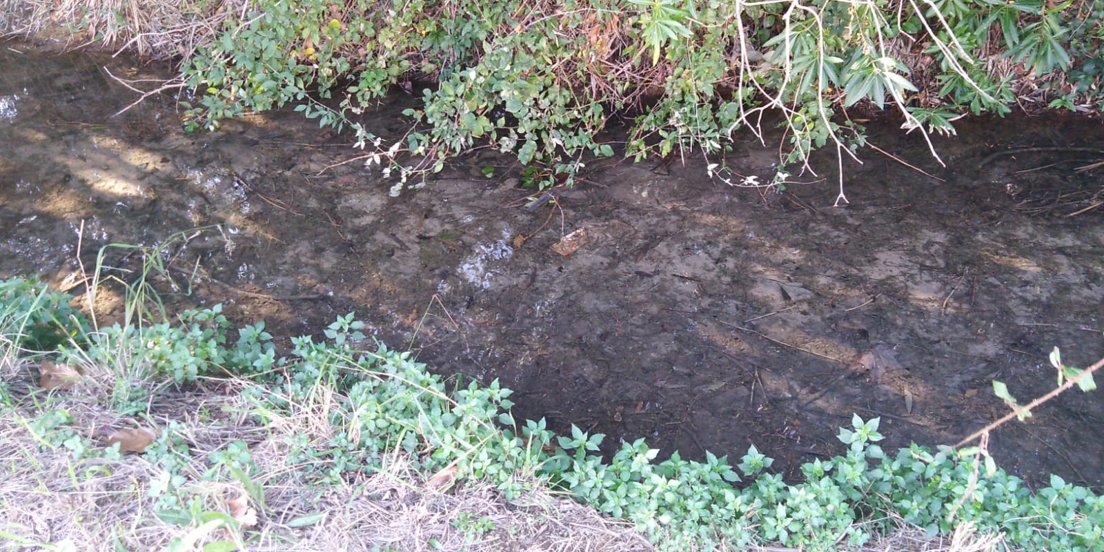 Il corso della Fossa Calda pulito