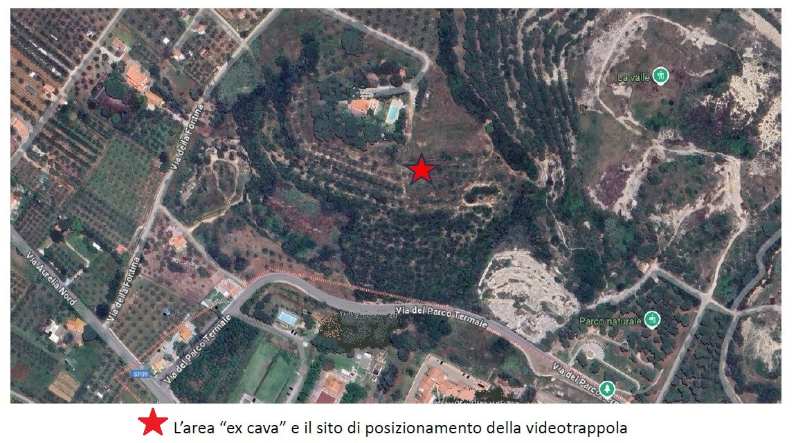 L'area dove  stata installata una videotrrappola