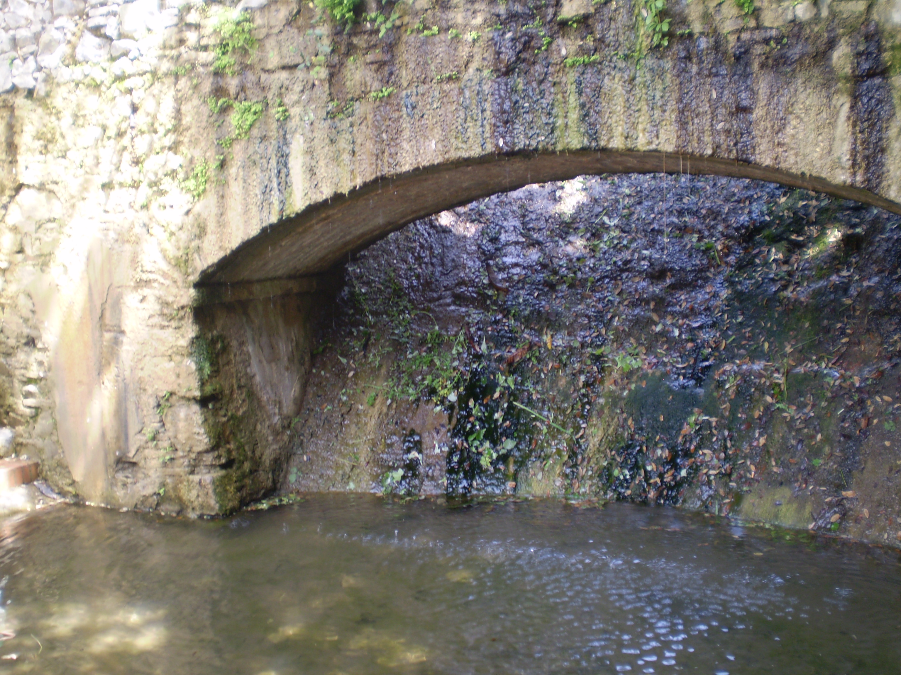 Acqua potabile: distribuzione con valori di boro e arsenico in deroga.