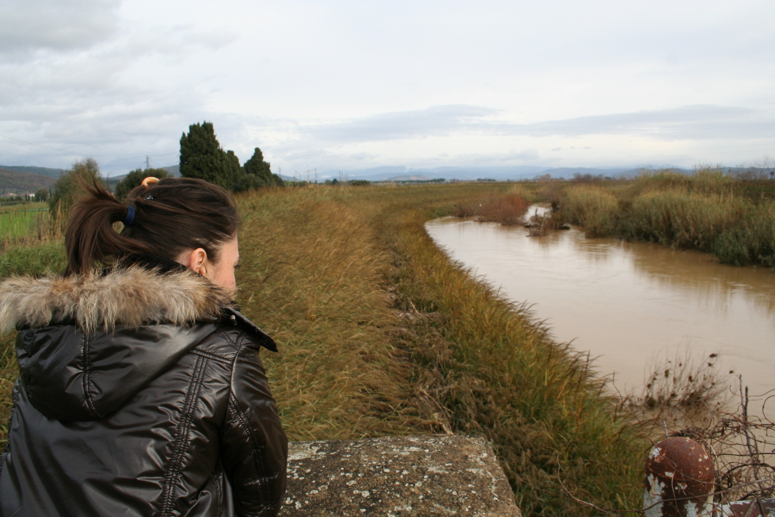 Domenica: la situazione sul fiume Cornia &egrave; tranquilla