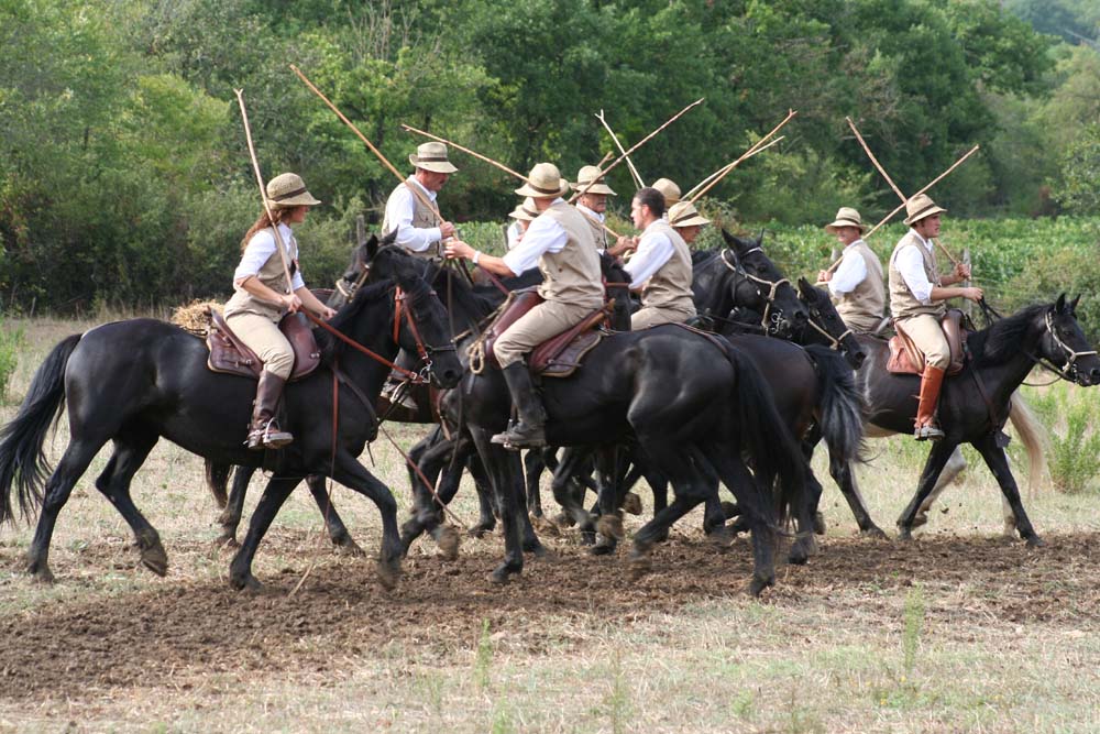 San Fiorenzo: le iniziative a Campiglia dal 15 al 26 maggio