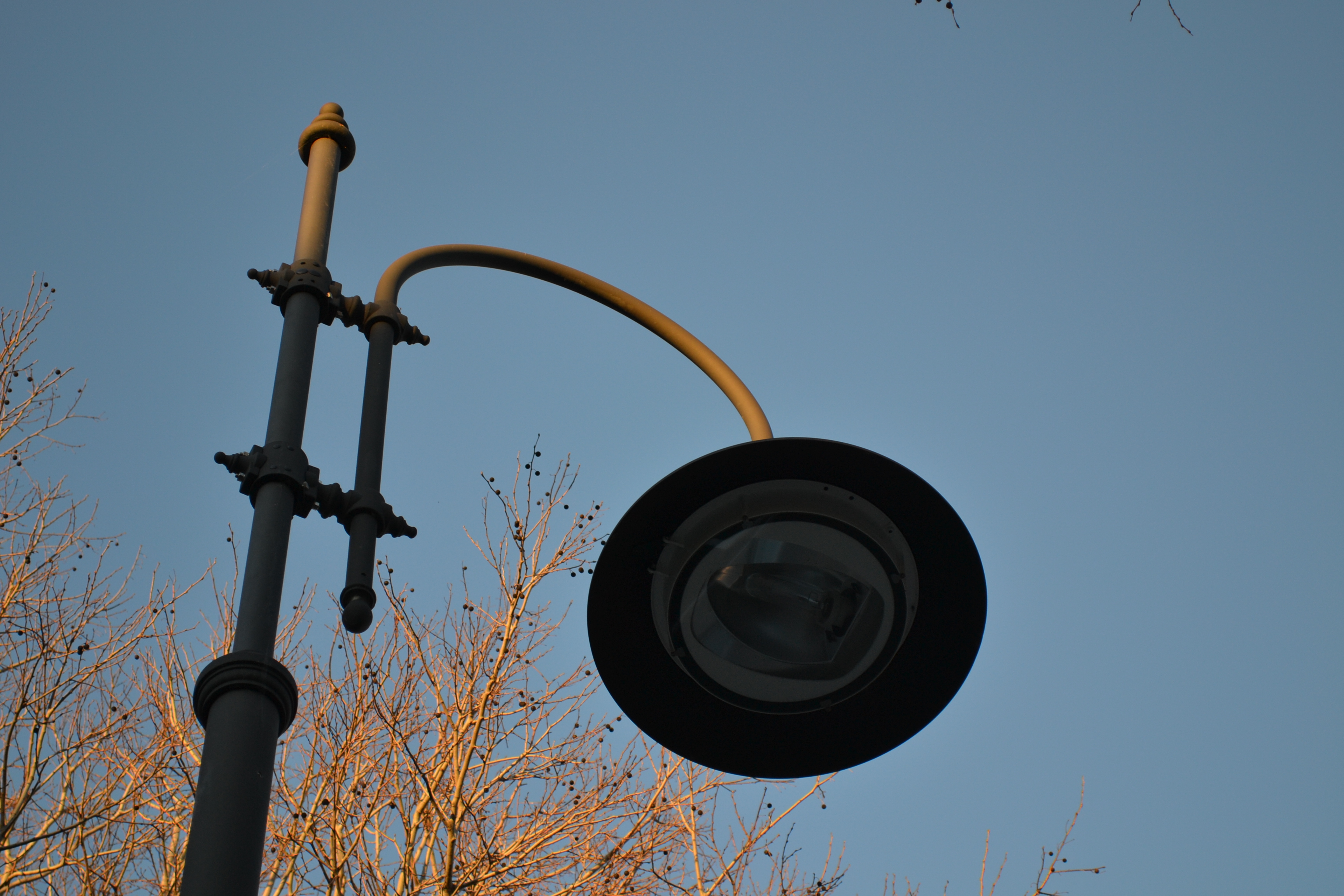 Via Dante Alighieri in festa per la riqualificazione