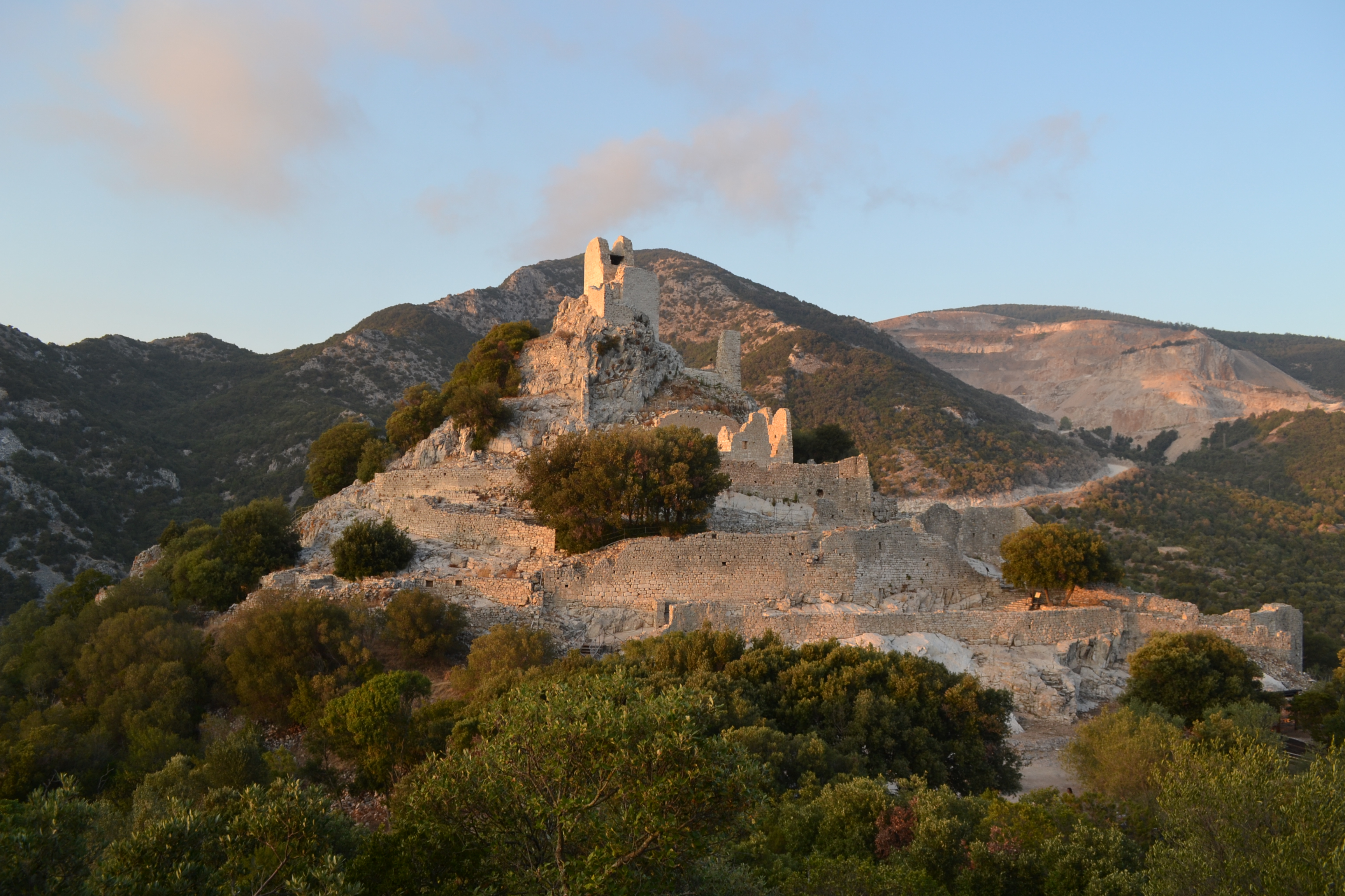Lantica oliveta del Parco archeominerario di San Silvestro torna a splendere grazie alla cura degli studenti