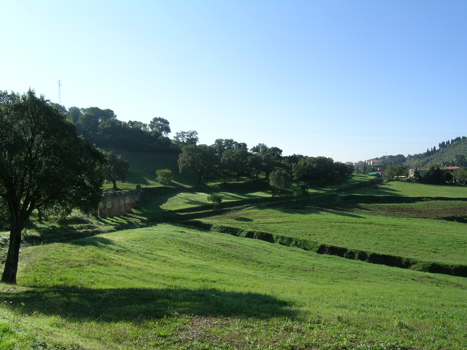 Alternanza scuola lavoro: Comune e Isis Val di Cornia incontrano il settore agricolo e agroalimentare