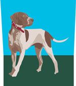 Tre cani in cerca di padrone: due sono di nuovo a casa.