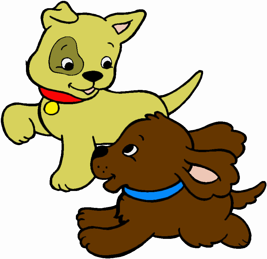 I botti di capodanno non piacciono agli animali: che fare?