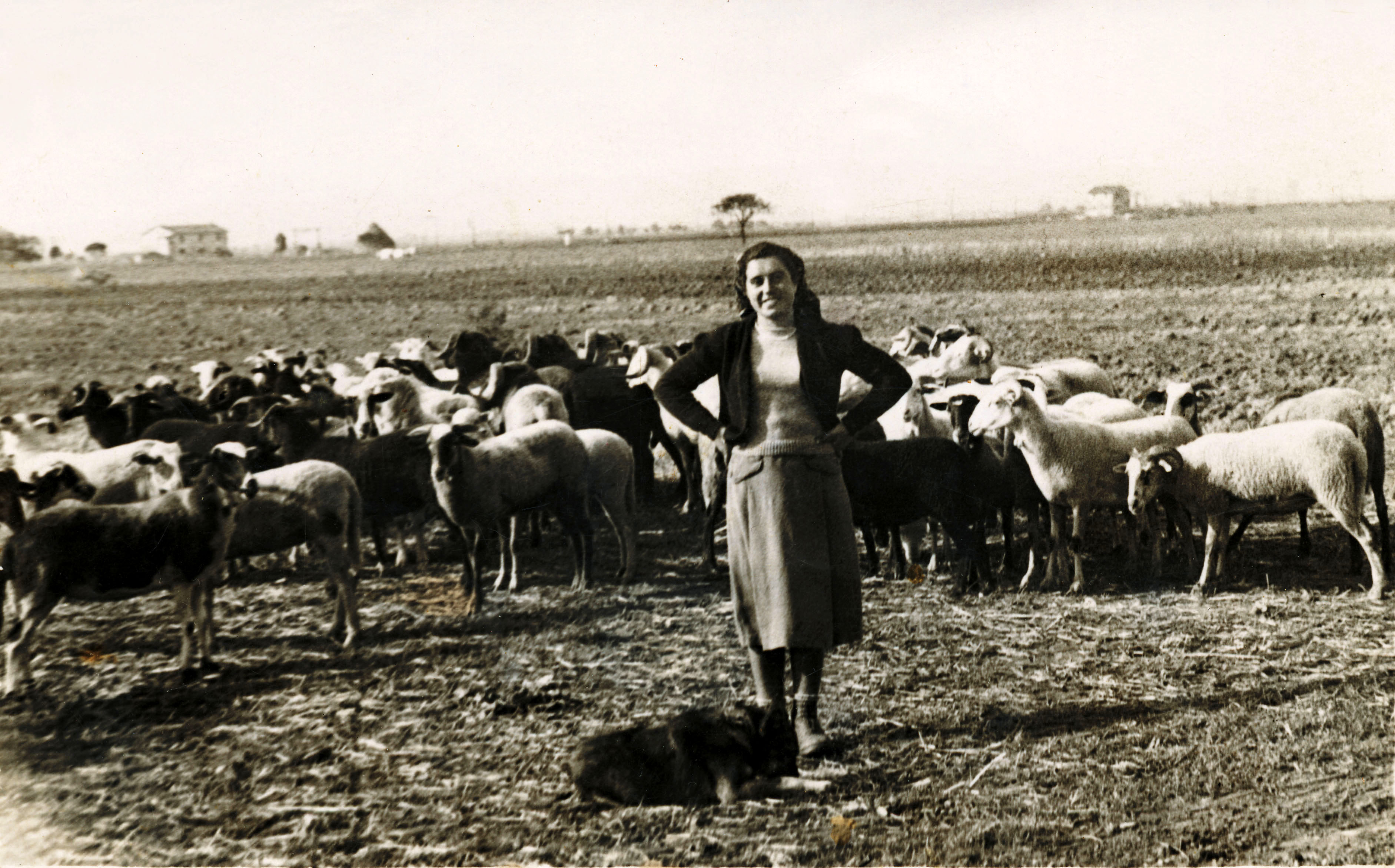 Dall\'Appennino alla Maremma: viaggio di una vita